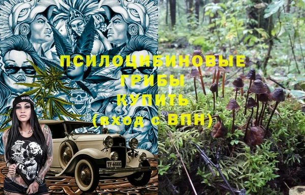 каннабис Алексеевка