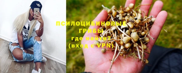 кокаин колумбия Алексин
