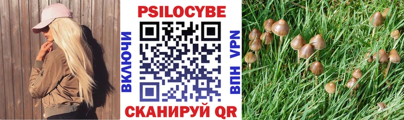 МЕГА   как найти закладки  Жуков  Галлюциногенные грибы Cubensis 